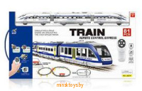 Железная дорога - Скорый поезд, 81 элемент, радиоуправление, свет, звук, 2807Y-2 - Minsktoys.by